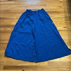 Free People Hot Shot Split wide leg pants. Blue, size medium. Never worn
